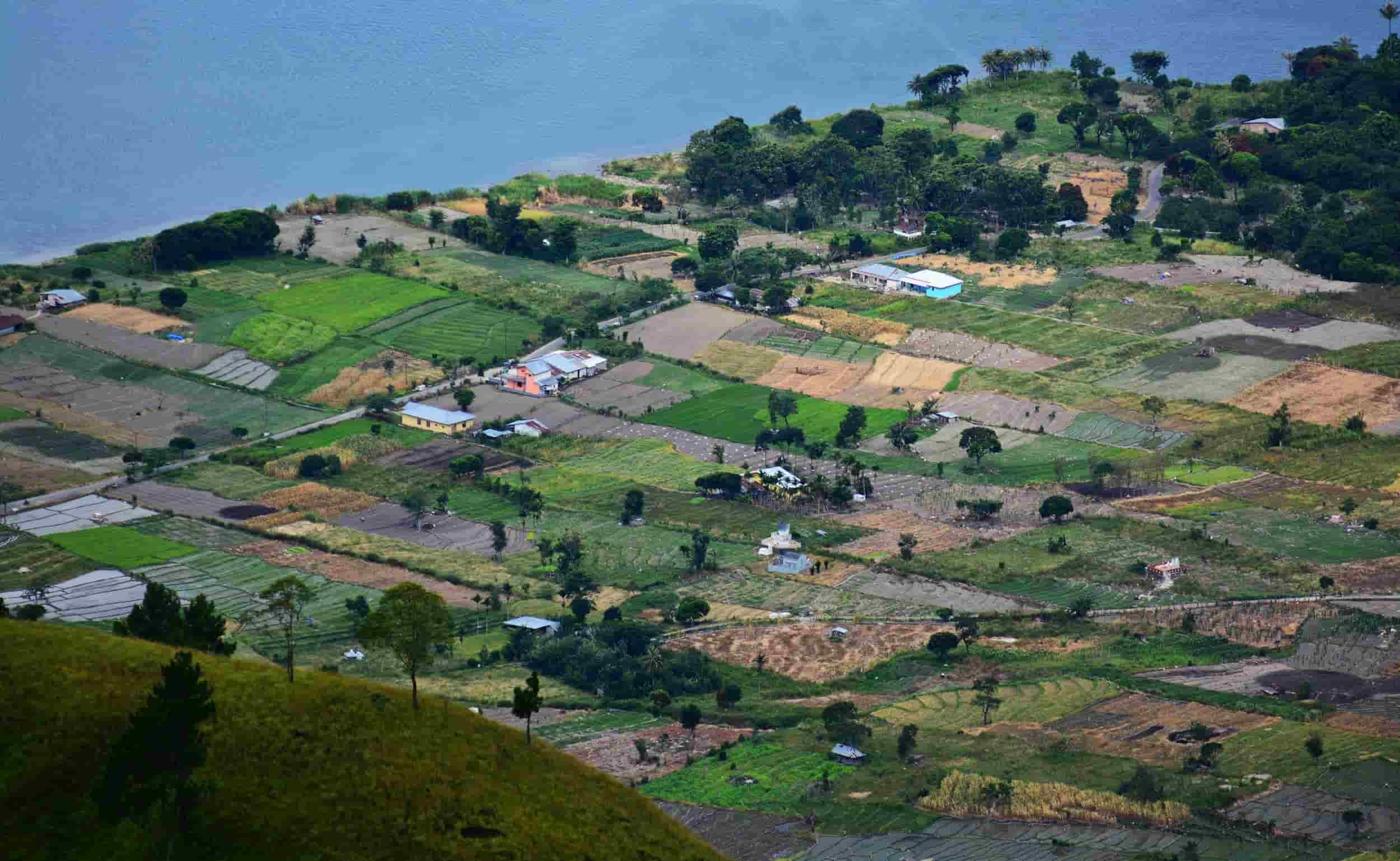 Consultancy Services for the Preparation of Client Involvement in a Waste-to-Energy Project in Jakarta